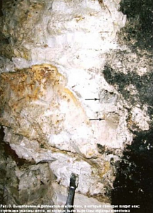 Выщелоченный долонитовый известняк, в который свободно входит нож:стрелками указаны места, из которых были вырезаны образцы известняка