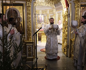 В праздник Рождества Христова митрополит Леонид совершил Божественную Литургию