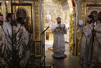 В праздник Рождества Христова митрополит Леонид совершил Божественную Литургию